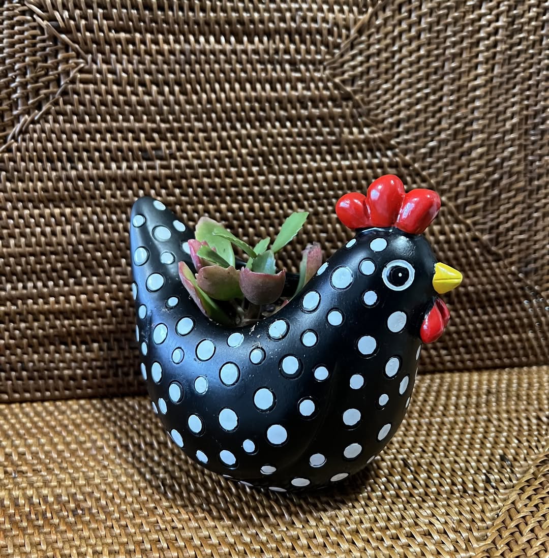 Polka-Dot Hen