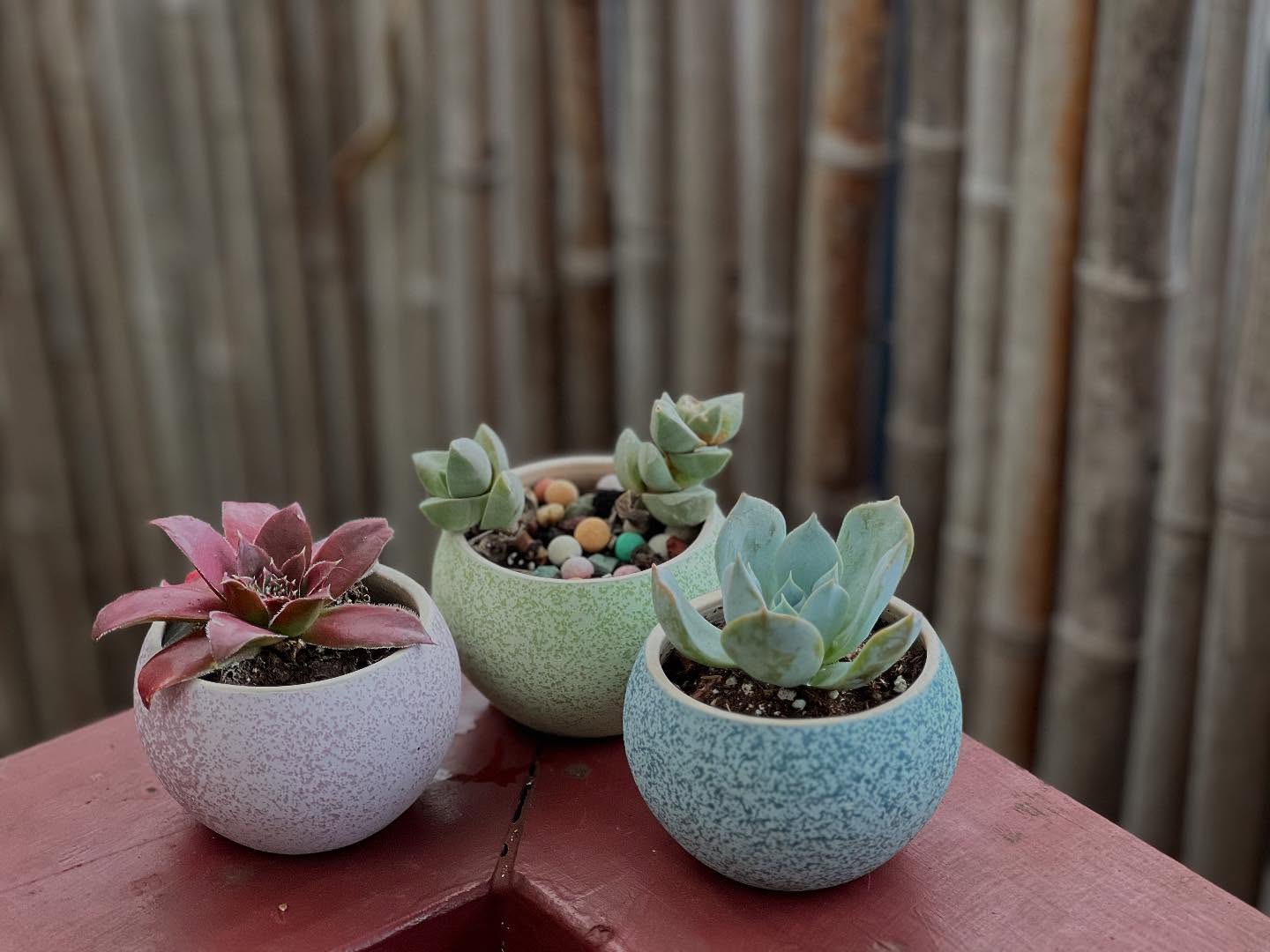 Speckled Stones · Set of 3