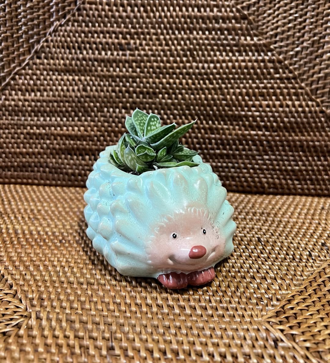 Happy Hedgehog